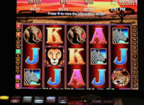 c7下载2024最新版