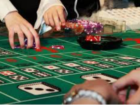 c7下载2024最新版